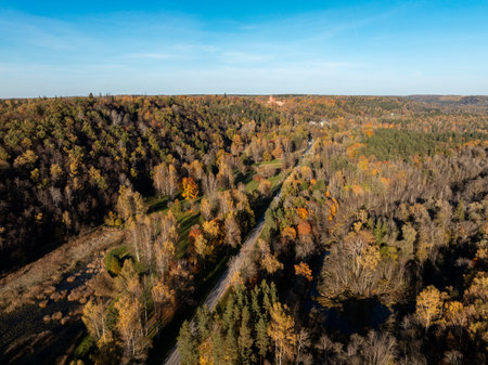 A dense forest in Sigulda, Latvia displays vibrant fall foliage. A winding road leads to a distant castle under a clear blue sky, enhancing the scene.の写真素材