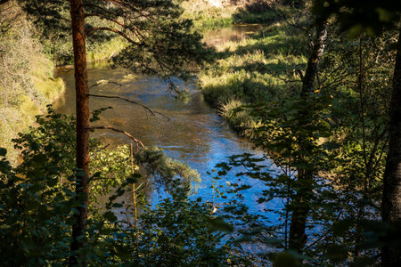 A tranquil river winds through a dense forest, reflecting the blue sky. Sunlight filters through tall trees, creating a vibrant interplay of light and shadow.の写真素材