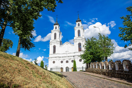 Roman Catholic Church of the Assumption of the Virgin Mary in Ludza, Latvia.の写真素材