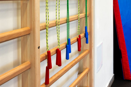 Indoor Wooden Climbing Structure with Colorful Ropes: Kid's Play or Therapy Equipmentの写真素材