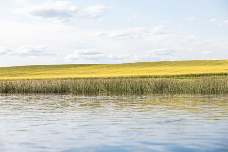 Summer village river landscape blue sky blue river and green grass bank.の写真素材