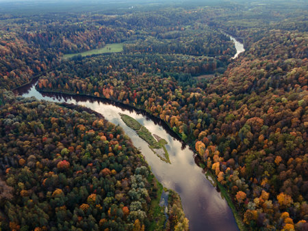 aerial view of a winding river flowing through a vibrant autumn forest with a palette of fall colors reflecting in the water's surfaceの写真素材