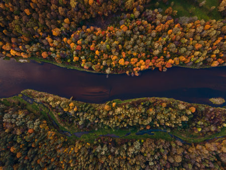 aerial view of a winding river flowing through a vibrant autumn forest with a palette of fall colors...