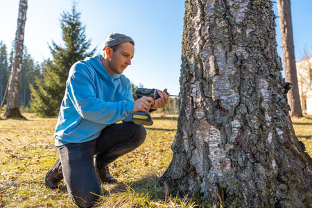 Man in drilling into a birch tree to collect fresh sap on a bright spring dayの写真素材