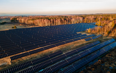 Aerial view of industrial sized solar panel farm during sunset,  illustrating the blend of technology and natureの写真素材