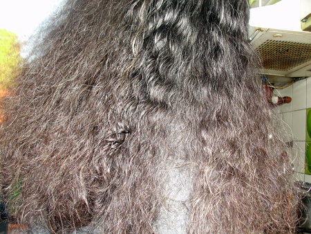 Hair of a womanの写真素材