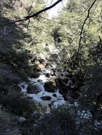 Little creek in Quila Quinaの写真素材