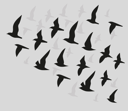 Silhouettes of flying birdsの写真素材