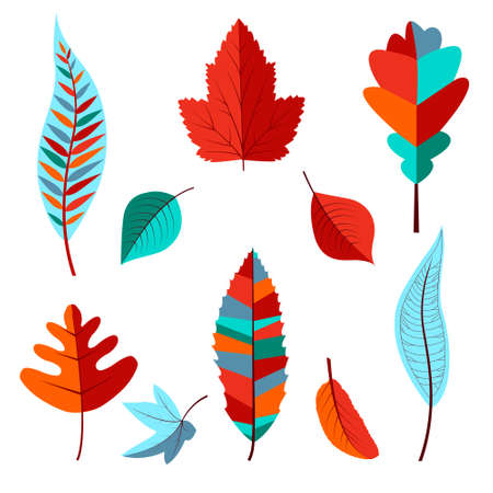 Set from Autumn colored leaves. Vector illustrationのイラスト素材