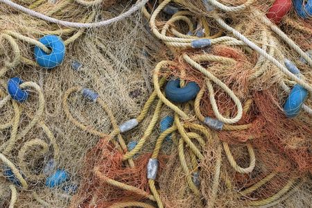 net 03の写真素材