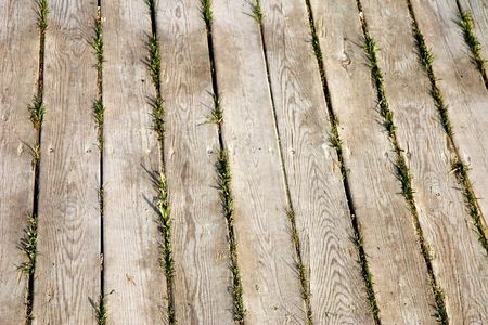 A close-up of a weathered wooden walkwayの写真素材