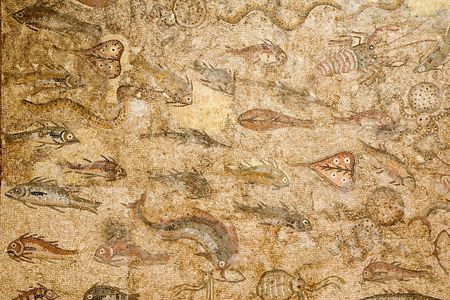 Roman mosaic showing different species of marine lifeの写真素材