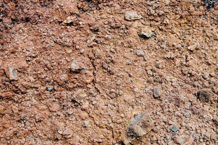 Volcanic soil in Lanzarote, Canary Islands, Spainの写真素材