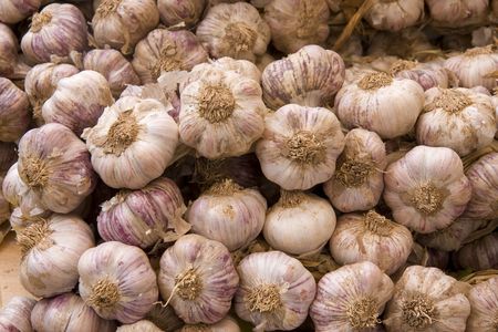 Garlic ( Allium sativum ) plaits in a marketの写真素材