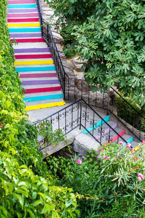 The beautiful stairs are painted in the rainbow, among plants. Positive road of lifeの写真素材