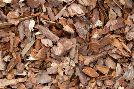 Background texture of a scattering of pine bark chips, top view.