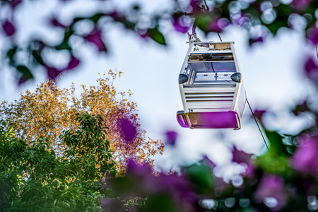 Cable car cab on background of sky, flowers, and plants, close-upの写真素材