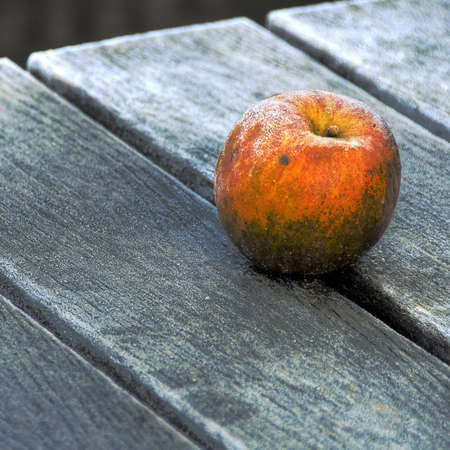 Appleの写真素材
