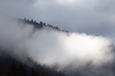 Fog on beautiful forest peaks in the mountainsの写真素材