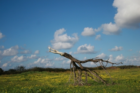 Natural Artの写真素材
