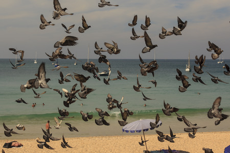 beachの写真素材