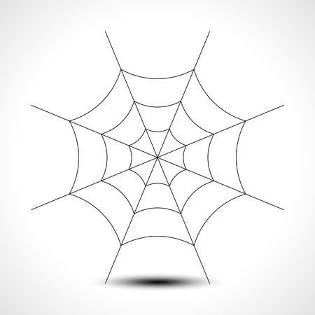 Spider web isolated on white background.のイラスト素材