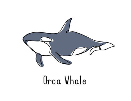 Single continuous line drawing of orca whale for marine company logo identity. Big fish mammal animal mascot concept for business logotype. Modern one line draw design illustration vector graphicのイラスト素材