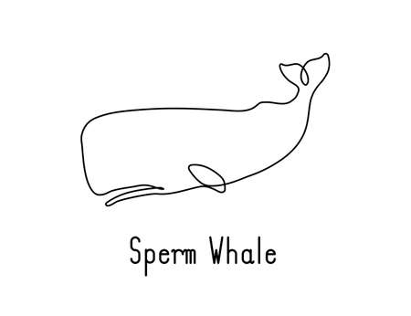 Single continuous line drawing of sperm whale for marine company logo identity. Big fish mammal animal mascot concept for business logotype. Modern one line draw design illustration vector graphicのイラスト素材
