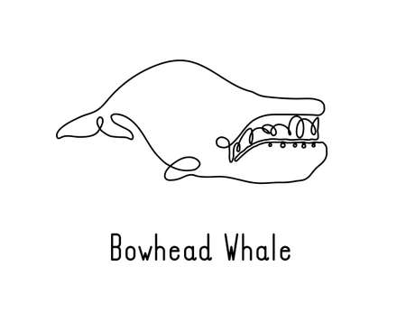Single continuous line drawing of bowhead whale for marine company logo identity. Big fish mammal animal mascot concept for business logotype. Modern one line draw design illustration vector graphicのイラスト素材