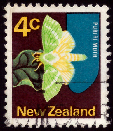 NEW ZEALAND - CIRCA 1970: A stamp printed in New Zealand shows Puriri moth, circa 1970のeditorial素材