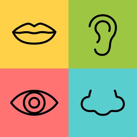 Vector illustration nose, ear, mouth and eyeのイラスト素材