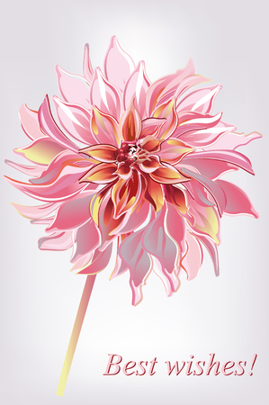 Series of greeting backgrounds with summer and spring flowers. Floral decorations with peonies, roses and dahlias. Vector illustration.のイラスト素材