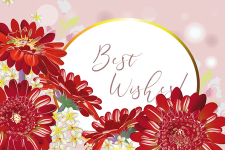 Series of greeting backgrounds with summer and spring flowers. Floral decorations with gerberas. Vector illustration.のイラスト素材