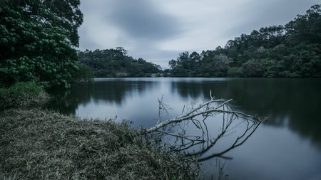 Quiet smooth water pond in dull color in Hong Kongの写真素材