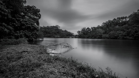 quiet smooth water pond in Black and White in Hong Kongの写真素材