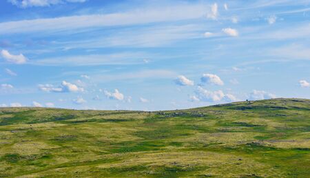 The clear air of the Northern latitudes of the Russian Federation inspires and pleases the eye. This is the Murmansk region, the Arctic. Green fields of moss and small vegetation. の写真素材