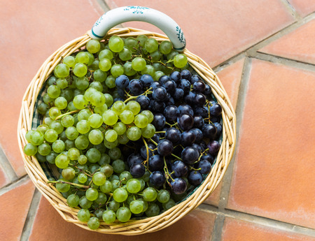 basket of green and black grapesの写真素材