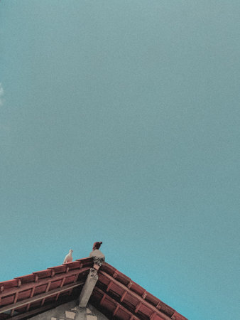 A Couple Of Bird On The Top Of Rooftileの写真素材