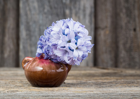 Hyacinth in vase wooden background. Selective focusの写真素材