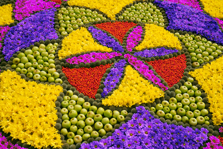 Colorful flowers background.の写真素材