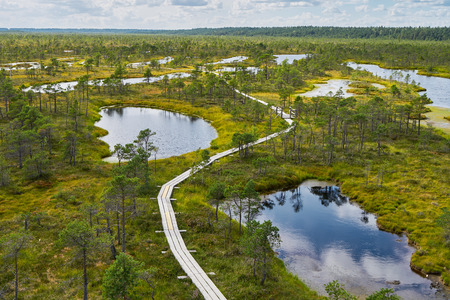 Raised bog. Kemeri National park in Latvia. Summer. Aerial view