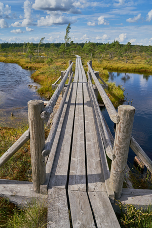 Raised bog. Boardwalk in Kemeri National park. Latvia. Summer, cloudy sunny dayの写真素材