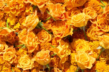 Yellow roses background. Mothers day, Valentines Day, Birthday celebration concept. Copy space, top viewの写真素材