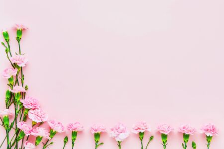 Frame of pink carnation flowers on pink background. Mothers day, Valentines Day, Birthday celebration concept. Greeting card. Copy space for text, top viewの写真素材