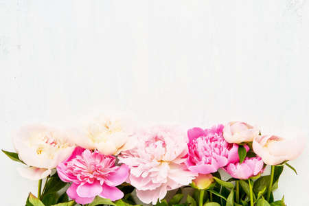 Beautiful pink and white peonies on white background. Birthday, Valentines Day, Happy Mother's day or Women's day concept. Top view, copy space, soft focusの写真素材