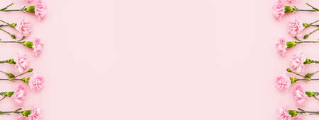 Holiday banner. Border of pink carnations on pink background. Mother's day, Valentines Day, Birthday celebration concept. Greeting card. Copy space for text, top viewの写真素材