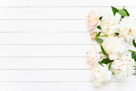 Beautiful white peonies on white wooden background. Birthday, Valentines Day, Mother's day or...