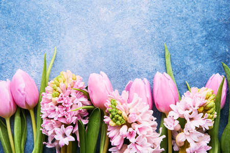 Pink tulips and pink hyacinths flowers on a blue background. Top view, copy spaceの写真素材