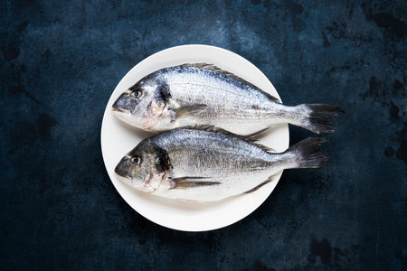 Raw dorado fish on white plate on dark blue background. Top view, copy spaceの写真素材