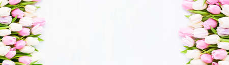 Banner of pink and white tulips on a light background. Mothers Day, Valentines Day, Birthday celebration concept. Flat lay, copy space for textの写真素材